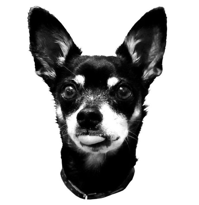 Centered Image